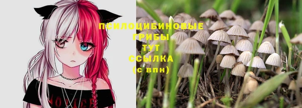 мет Армянск