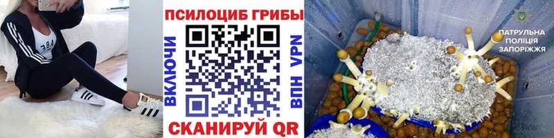 это формула Пыталово Галлюциногенные грибы Psilocybe